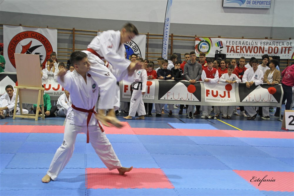 Copa Seul 2018 (357).jpg